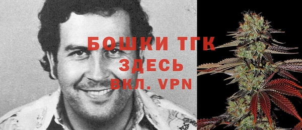 прущий лед Верея