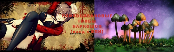 прущий лед Верея
