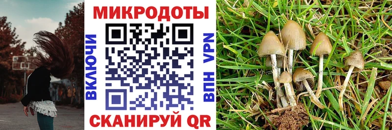 Псилоцибиновые грибы MAGIC MUSHROOMS Орехово-Зуево